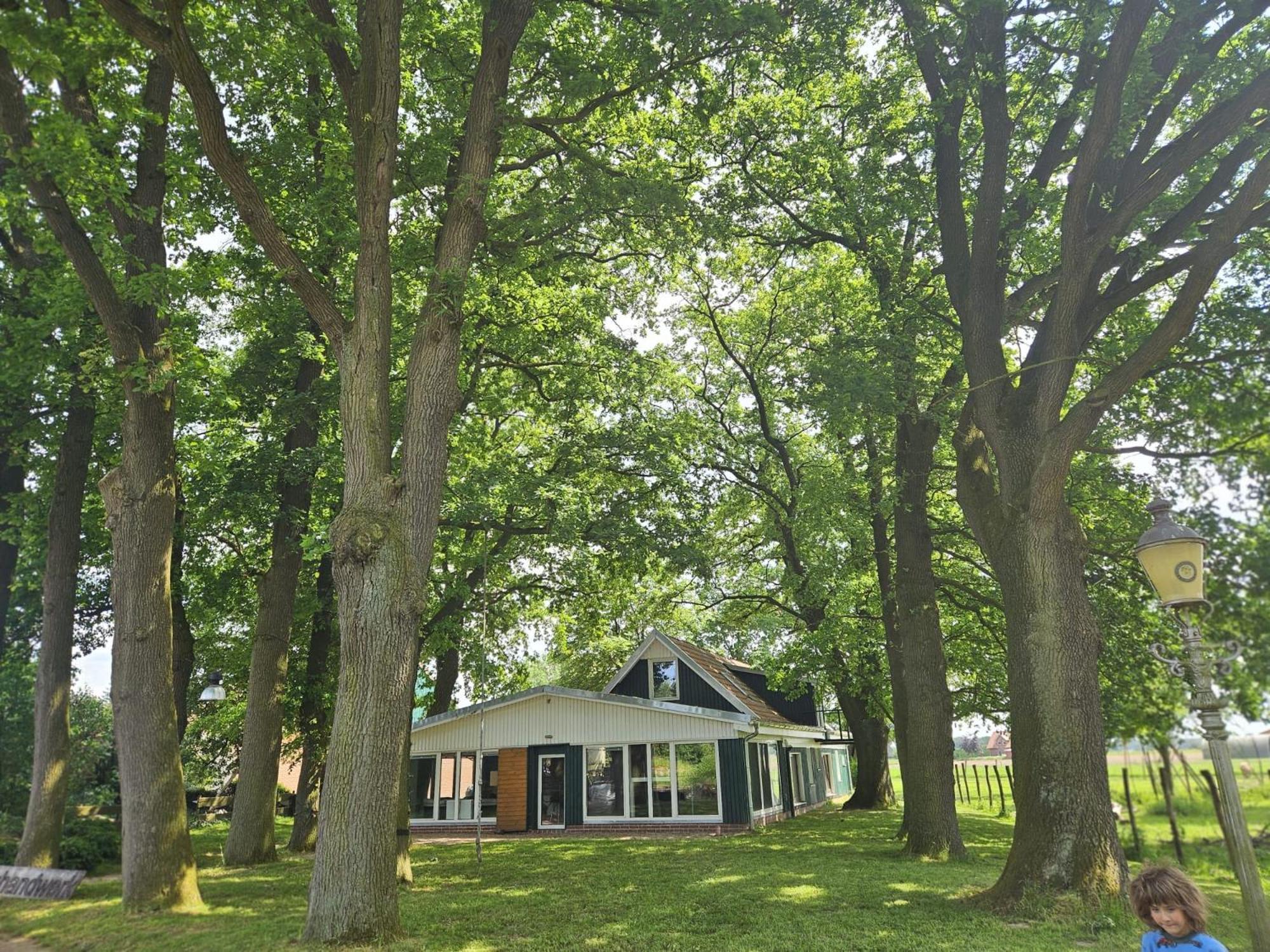 Ferienhaus Banana Lodge Bruchhausen-Vilsen Exterior foto
