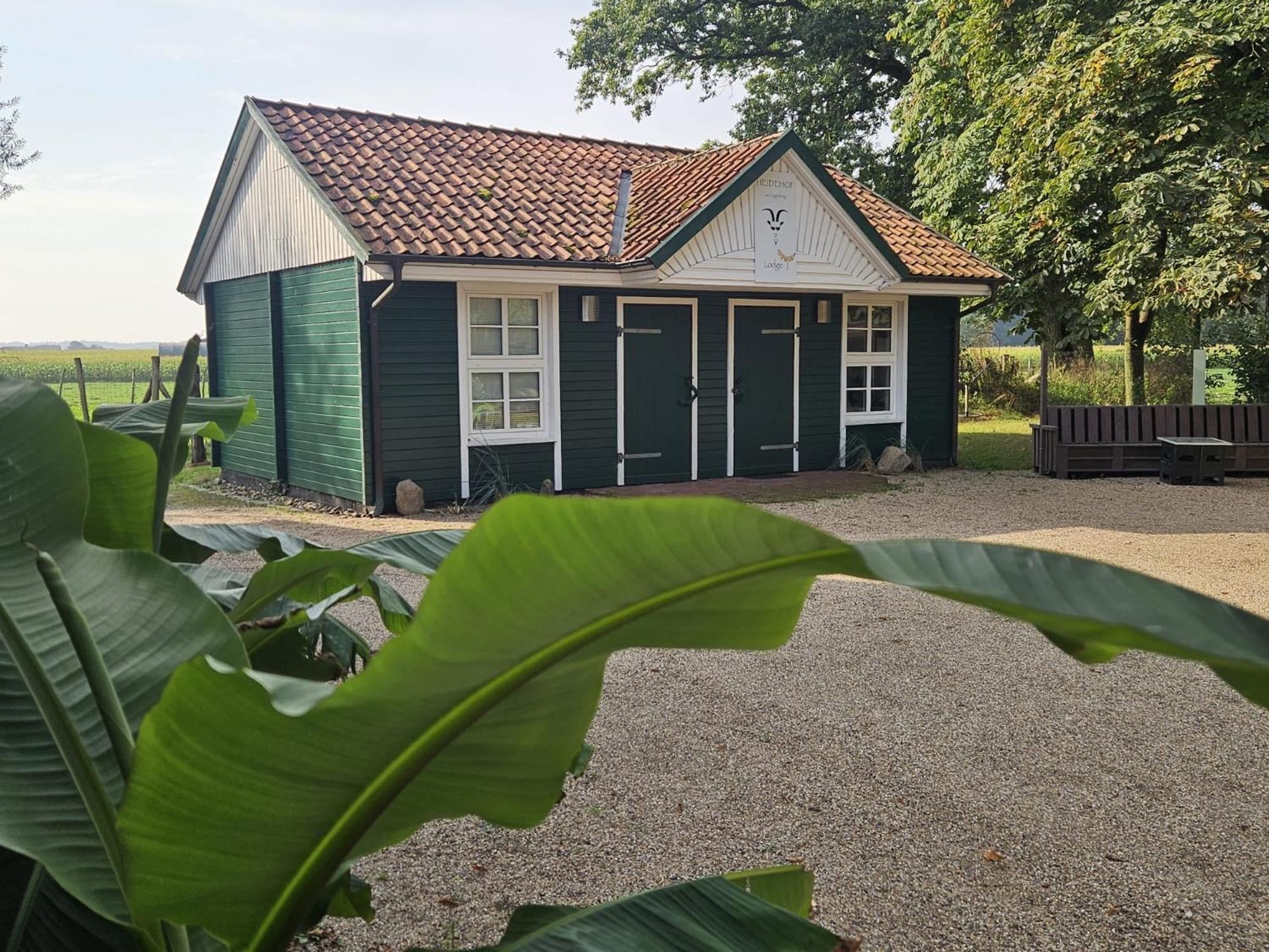 Ferienhaus Banana Lodge Bruchhausen-Vilsen Exterior foto